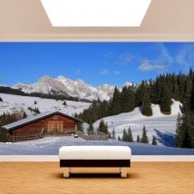 Montagne di foto parete murales Siusi Alpi Italia