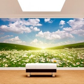 Bianco foto parete murales fiori margherita