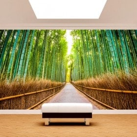 Bambù e foto parete murales road