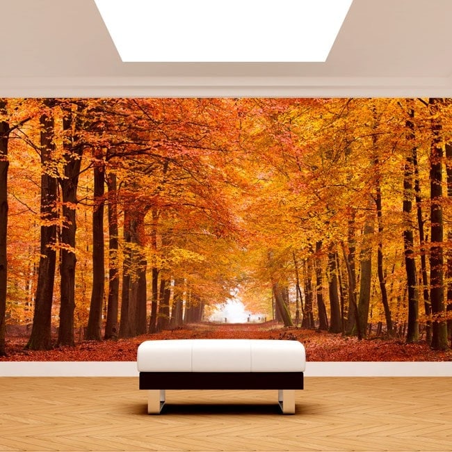 🥇 Foto muro murales strada ed alberi autumn 🥇