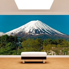 Mt. Fuji Fotomurali