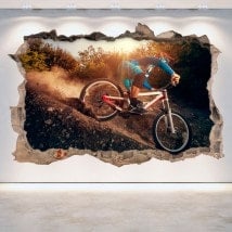 Vinile di Mountain Bike 3D