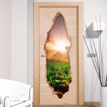 Tramonto nel vinile 3D porte vigneto