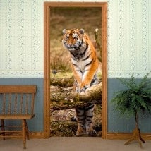 Vinile decorativo porte tigre siberiana