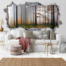 Vinile decorativo alberi nella foresta 3D