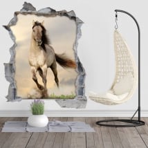 Vinili buco muro cavallo 3d