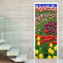 Vinili porte fiori tulipani colorati