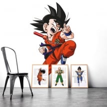 Vinile e adesivi dragon ball