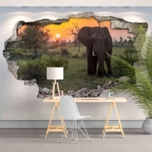 Vinili e adesivi 3d elefante tramonto in africa