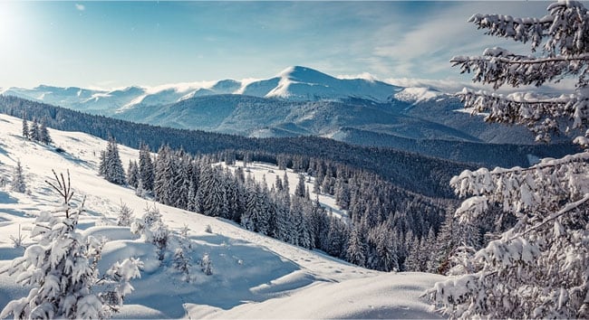 Murali in vinile paesaggio con montagne innevate