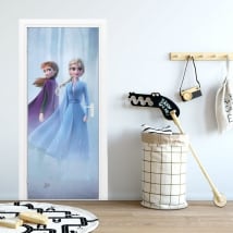 Vinile per porte e armadi disney frozen 2