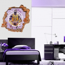 Vinili e adesivi 3d lebron james nba