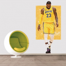 Vinile e adesivi lebron james