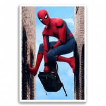 Poster carta fotografica uomo ragno