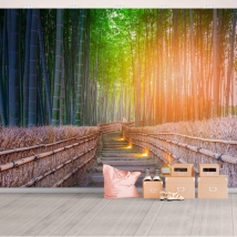 Carta da parati o murale del sentiero nella foresta di bambù al tramonto